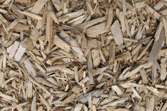 biomass boilers Combpyne